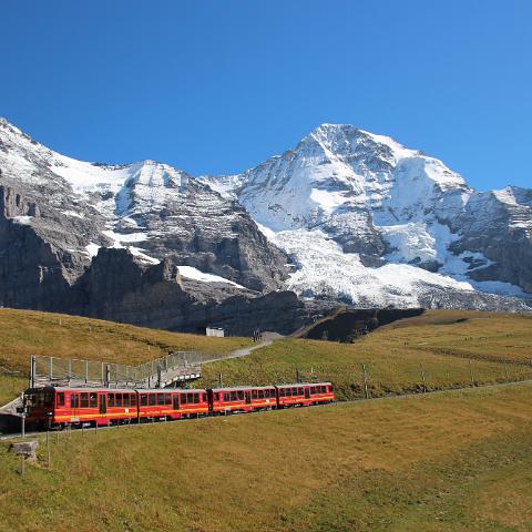 IMG 4078