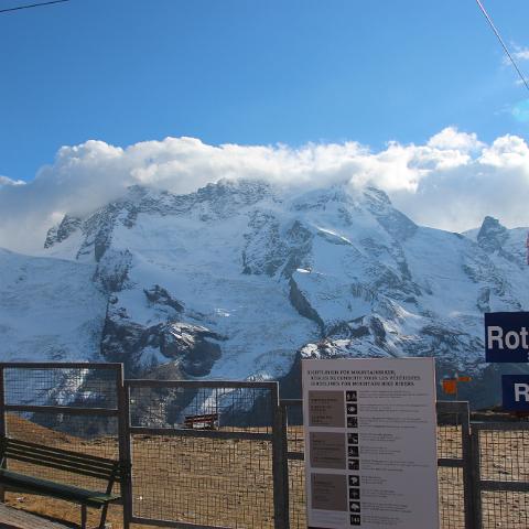 IMG 4267