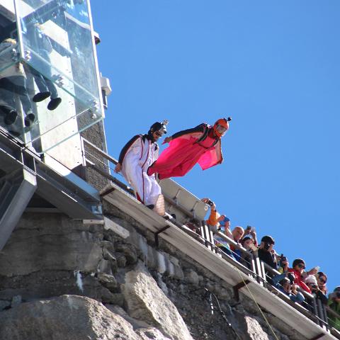 IMG 4540