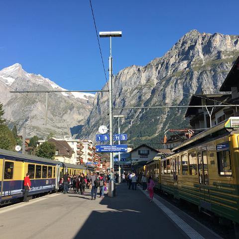 IMG 6553
