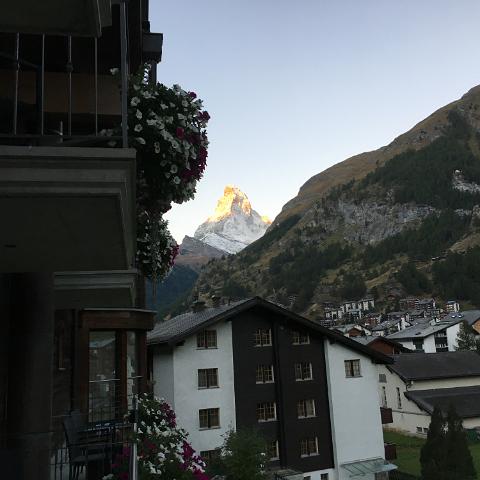 IMG 7083