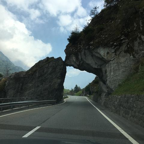 IMG 7365