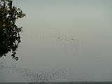 P1060616