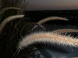 P1060636