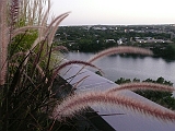 P1060637