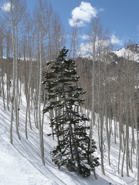 P1000577 