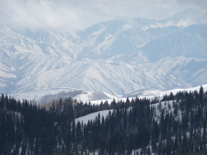 P1000733 