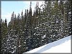 P1000531.JPG