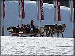 P1000826.JPG