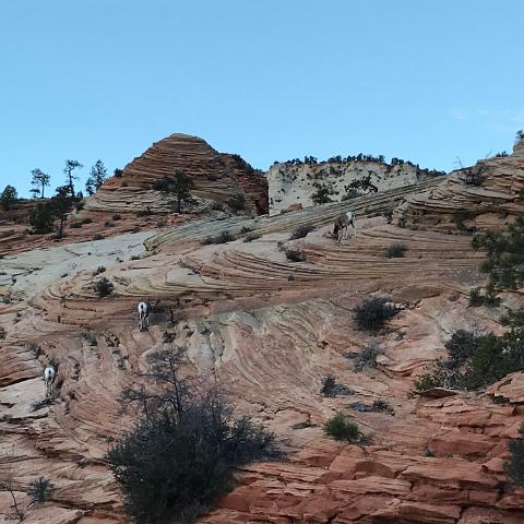 IMG 2455