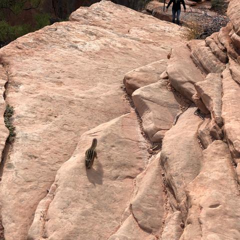 IMG 3741