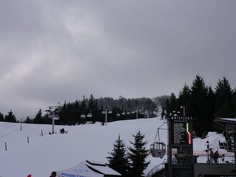 DSC03537.JPG