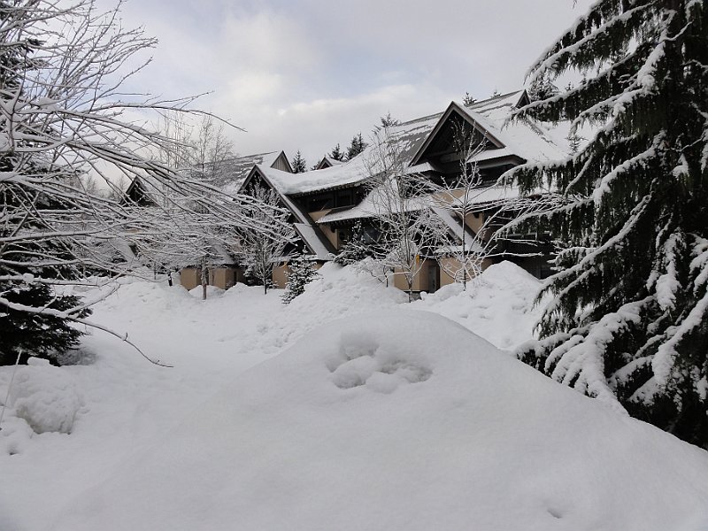 DSC04202.JPG