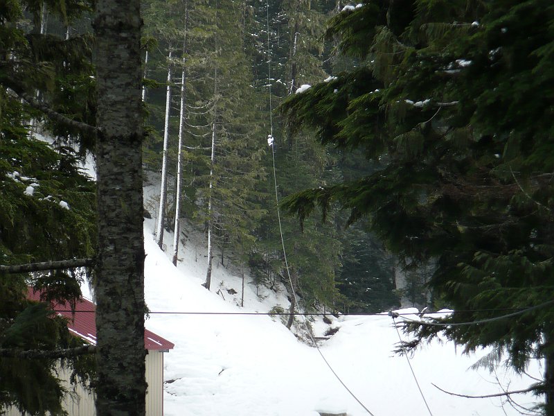 P1100884.JPG