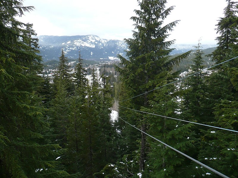 P1100899.JPG