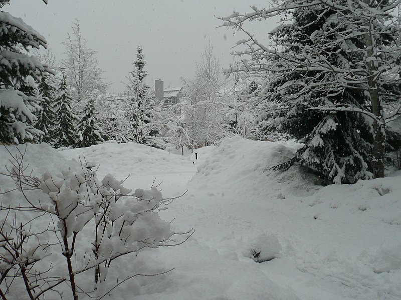 P1100945.JPG