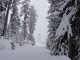DSC03514