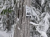 DSC03516