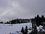 DSC03537