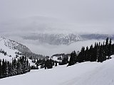 DSC03542