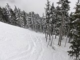 DSC03566