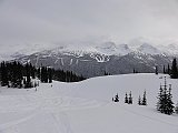 DSC03614