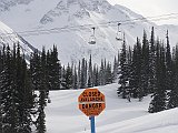DSC03633