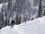 DSC03641
