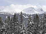 DSC03660