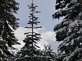 DSC03668