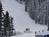 DSC03711