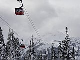 DSC03775