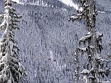 DSC03803