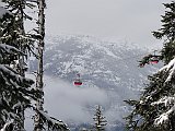 DSC03806