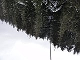 DSC03829