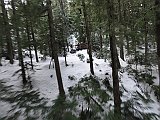 DSC03831