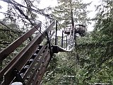 DSC03875