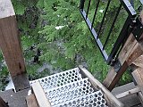 DSC03927