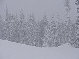 DSC04167