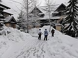 DSC04201
