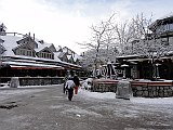 DSC04205