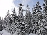 DSC04242