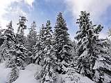 DSC04245