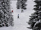 DSC04269