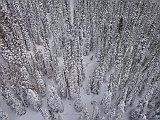 DSC04361