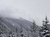 DSC04438