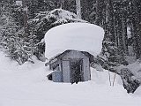 DSC04464