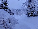 DSC04501