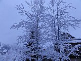 DSC04503