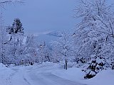 DSC04508
